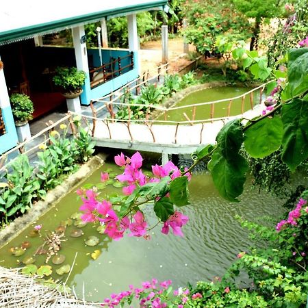 Hungry Lion Resort Sigiriya Exterior photo
