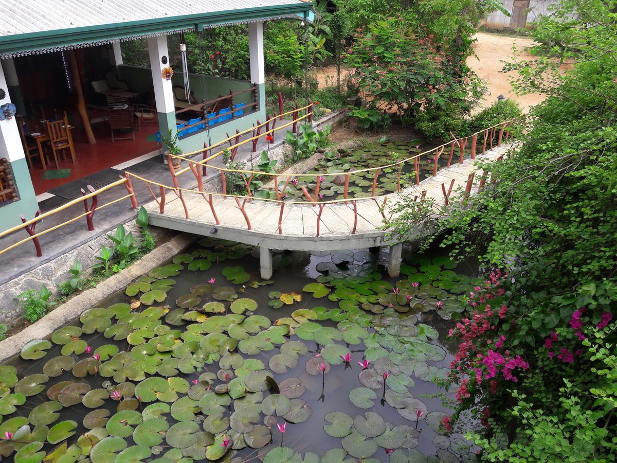 Hungry Lion Resort Sigiriya Exterior photo
